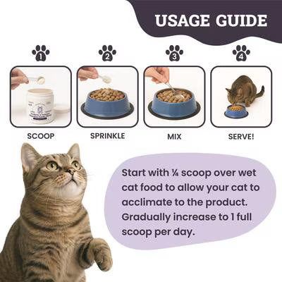 Probiotic and Prebiotic Digestive Powder Blend