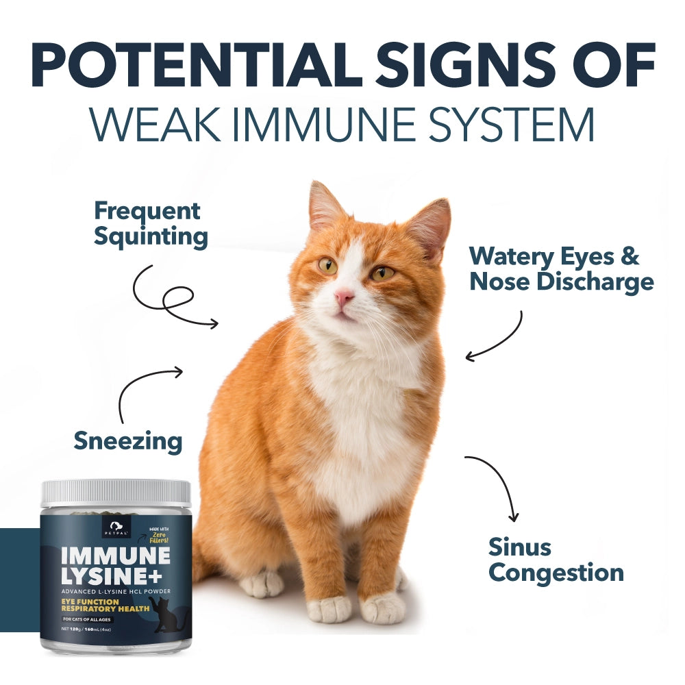 PetPal Immune Lysine+ for cats — lysine supplement that supports immune system and respiratory health