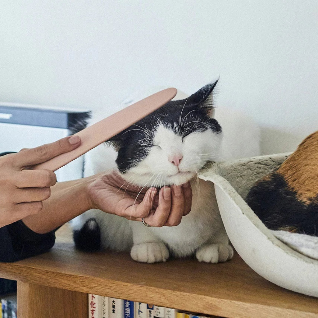 Lick-Like Cat Tongue Massage Brush