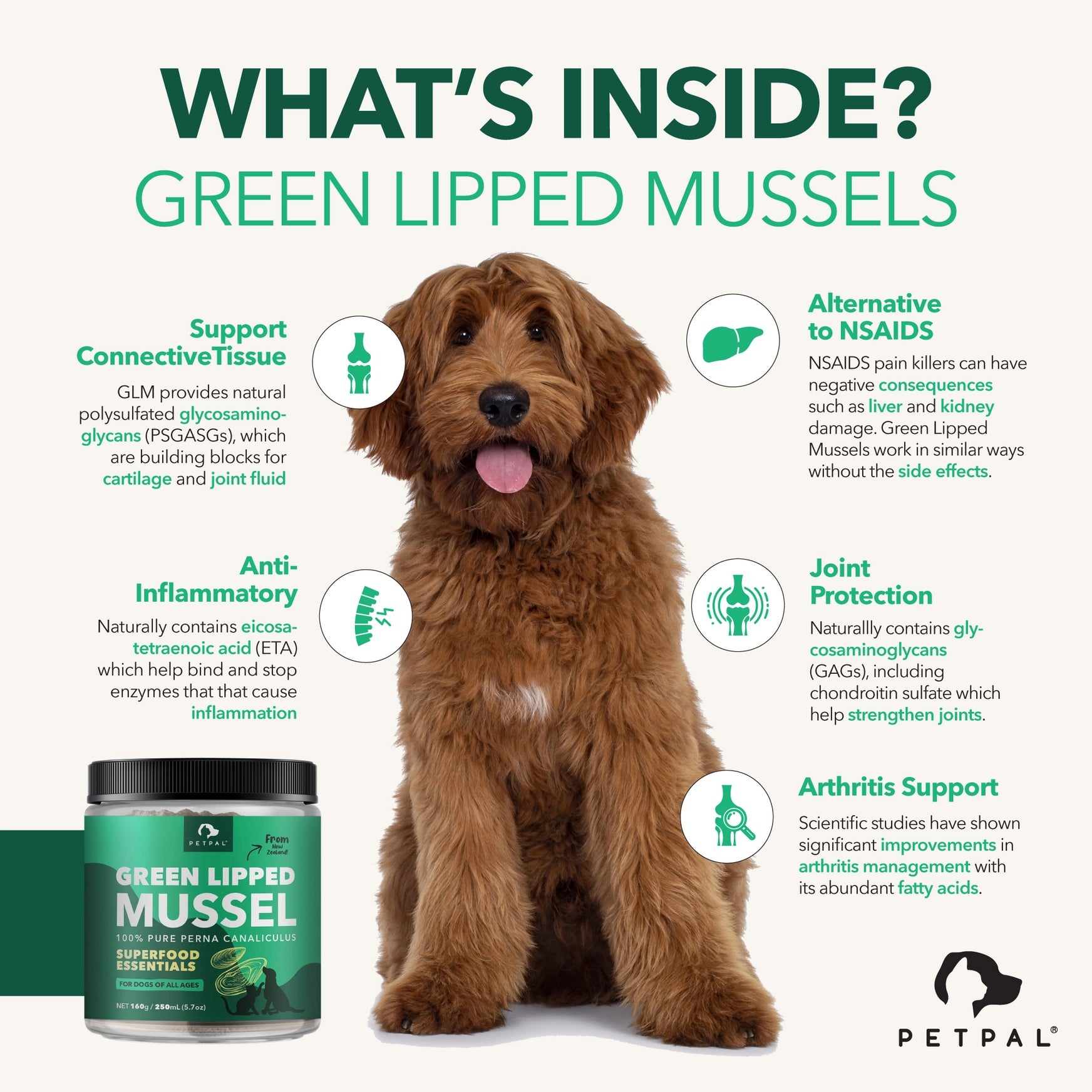 PetPal green lipped mussel powder — natural joint and mobility supplement for pets rich in chondroitin and key nutrients