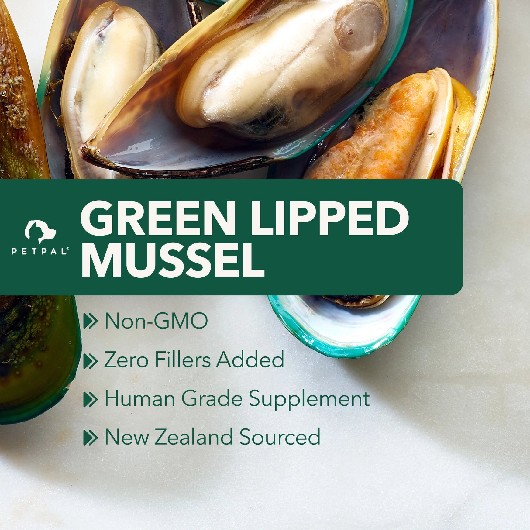 PetPal green lipped mussel powder — natural joint and mobility supplement for pets rich in chondroitin and key nutrients