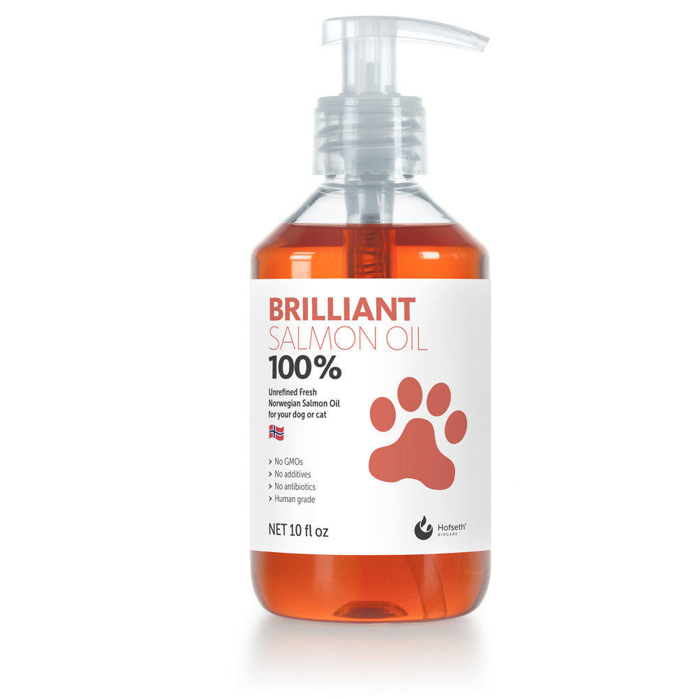 Brilliant 100% salmon oil for pets — pure, natural omega-rich supplement made from human-grade Atlantic salmon