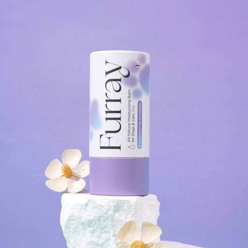 Furray all-natural moisturizing pet balm — pet-safe formula made with natural ingredients