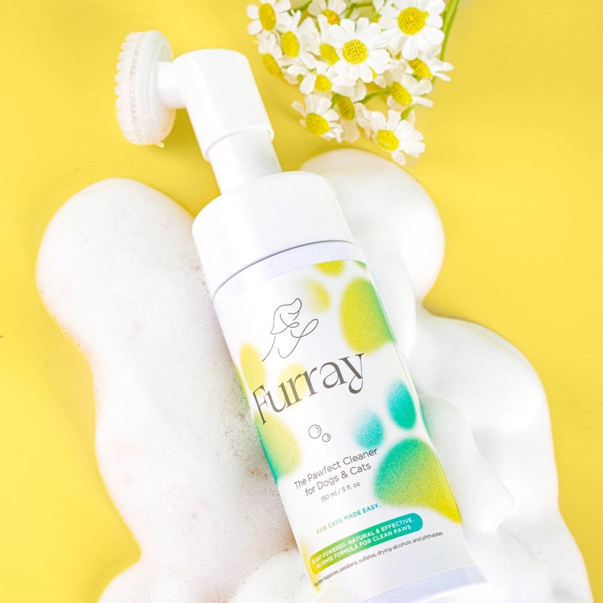 Furry The Pawfect Paw Cleaner for dogs and cats — natural ingredients, rinse-free formula for gentle paw cleaning