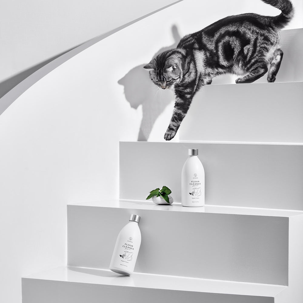 Pet-safe non-toxic floor cleaner infused with catnip oil to calm cats and repel bugs