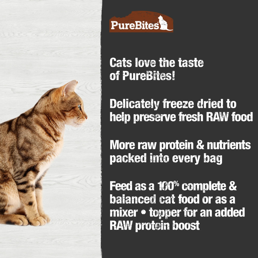 PureBites Turkey Raw Freeze-Dried Cat Food — single-protein natural recipe made with human-grade turkey and organs